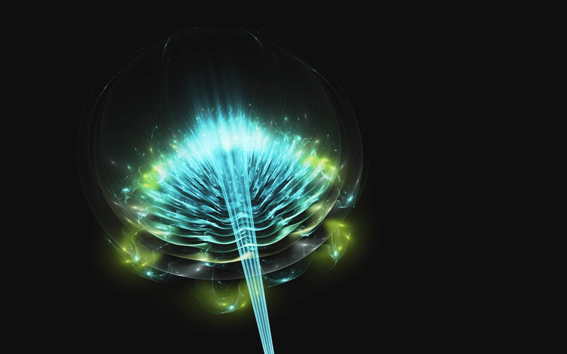 b09602d7-23e0-4603-8697-44114aa2b748.jpeg b09602d7-23e0-4603-8697-44114aa2b748.jpeg