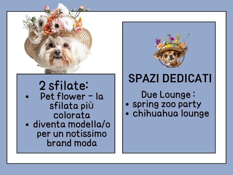 f7419e6d-86ce-4804-8a9f-5e1464bfea38