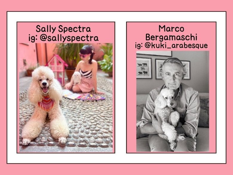 e0e34d09-1580-4494-b03b-804492ed6643