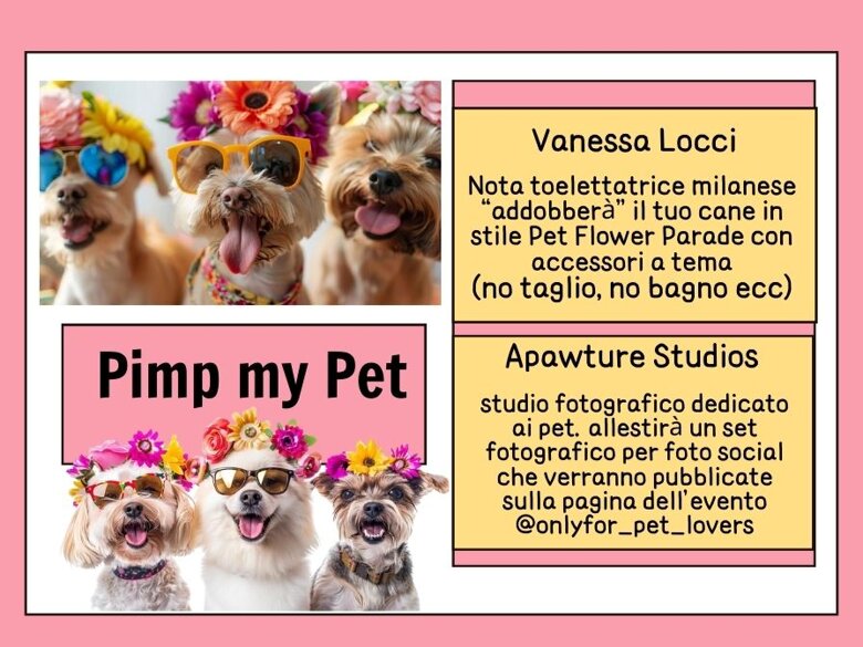 1fd38c52-6679-4274-8b18-58cf2831705a