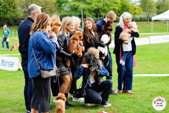 61687e10-cf75-4aaa-b9b5-9f48cac2d889 61687e10-cf75-4aaa-b9b5-9f48cac2d889