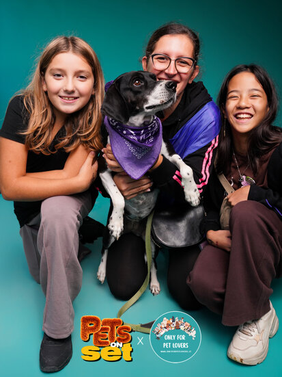 petsonset_onlyforpetlovers_52.jpeg