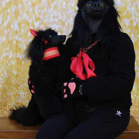 web-2.jpeg web-2.jpeg