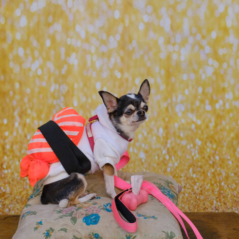 web-23.jpeg web-23.jpeg