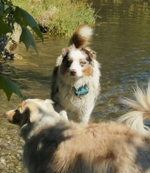 img_9387.jpeg