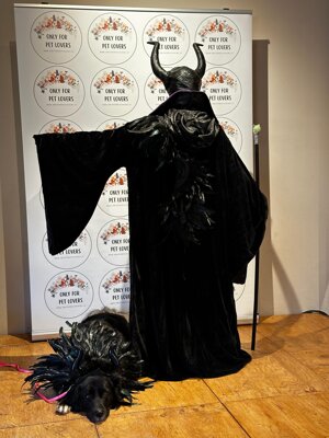 3ba4eb54-7297-40d9-9566-ed05952fe064.jpeg 3ba4eb54-7297-40d9-9566-ed05952fe064.jpeg