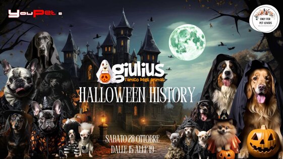 48fa2f86-6bf6-4804-99bd-61d6cd3aa157