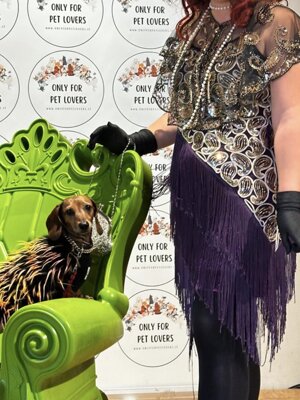 img_5031.jpeg img_5031.jpeg