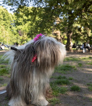_dsc3567.jpeg