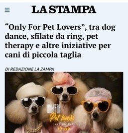 6ad5e99f-0c4a-45ff-a776-041aec611542