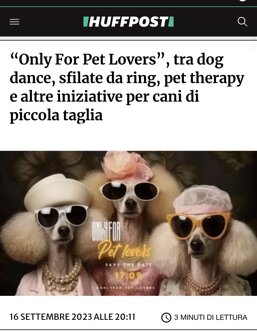 26157183-26f5-40c3-911c-2d64783b8718