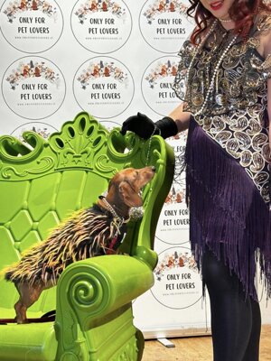 img_5039.jpeg img_5039.jpeg