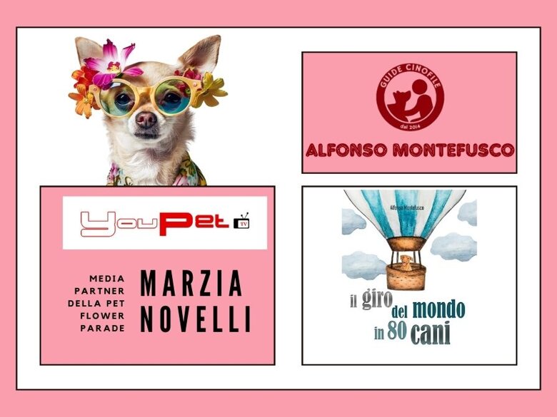 1c3908ff-1da1-43ac-9f98-c9d3d7ed4f90