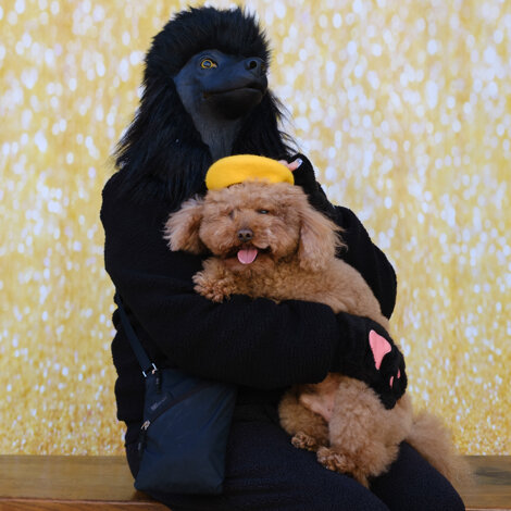 web-9.jpeg web-9.jpeg