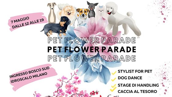 3d16075c-51b1-4125-8e7b-07958ace5844