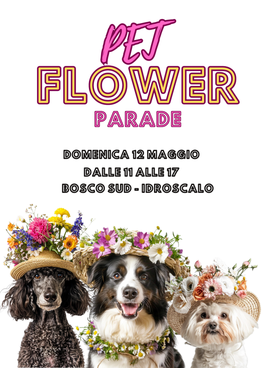 a047c932-3330-4d5e-8ce6-96ebdc6a9756