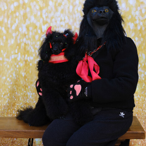 web-39.jpeg web-39.jpeg