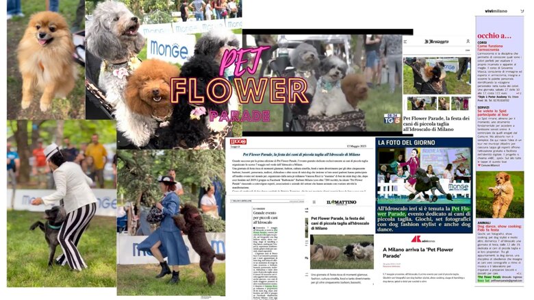 8fbb524a-6160-4135-8926-59c734a43e74