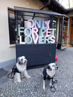 84da60ae-2fe5-42bc-aa8b-3263f50c7556.jpeg 84da60ae-2fe5-42bc-aa8b-3263f50c7556.jpeg