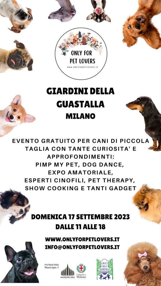 ad5fcff7-c22c-4f94-85a0-bae215c6a41e