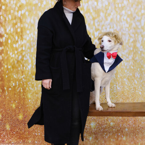 web-31.jpeg web-31.jpeg