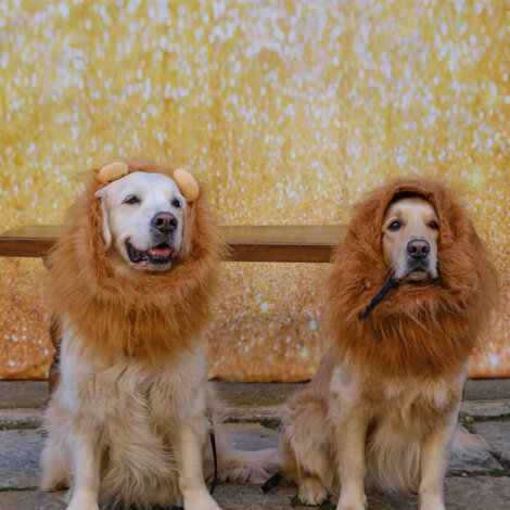 web-49.jpeg web-49.jpeg