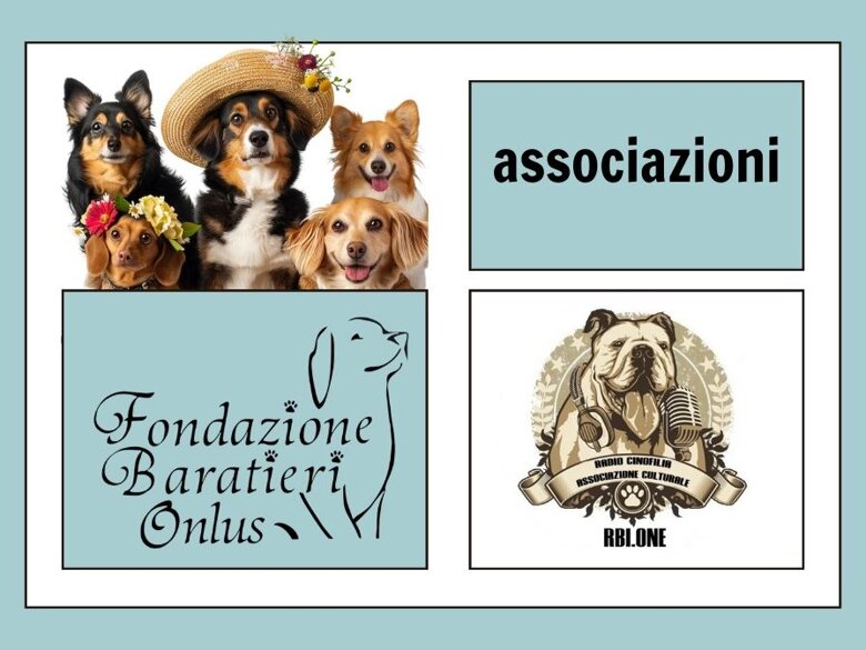 3b64c1d1-b94e-4f42-81d2-1ac4bc8d9301