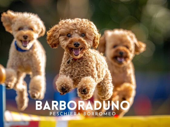 9f7b275a-bc7e-4eee-a025-b16e04e4f9d7