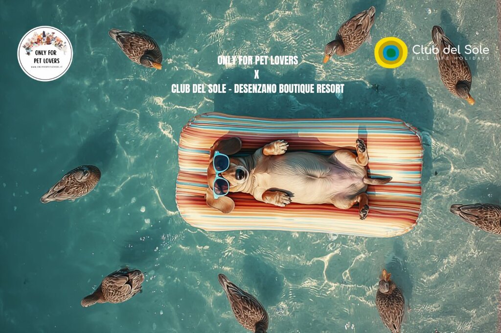 511d7646-5529-4eff-a05c-c040059a6f5f