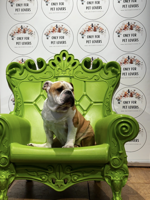 screenshot%202026-03-13%20alle%2017.12.01 screenshot%202026-03-13%20alle%2017.12.01