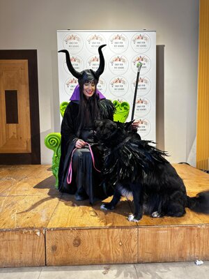 7bce62e4-0a62-4f33-96ed-091656c35da9.jpeg 7bce62e4-0a62-4f33-96ed-091656c35da9.jpeg