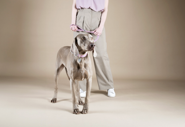 screenshot 2026-04-21 alle 21.20.52