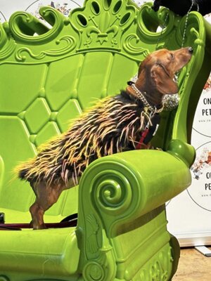 img_5032.jpeg img_5032.jpeg