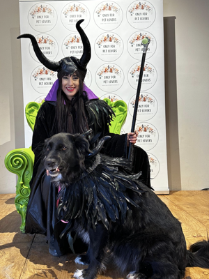 screenshot%202026-03-13%20alle%2017.01.03 screenshot%202026-03-13%20alle%2017.01.03