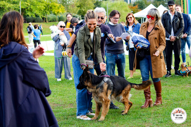 3a523ca6-a0a7-4295-a9cb-f12f32cceb02 3a523ca6-a0a7-4295-a9cb-f12f32cceb02