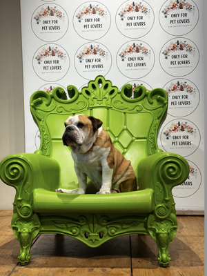 screenshot%202026-03-13%20alle%2017.04.39 screenshot%202026-03-13%20alle%2017.04.39