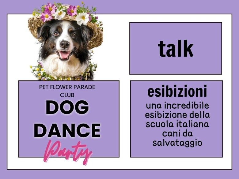 4489d1c6-f6d7-4b23-a0b7-275b280dab89