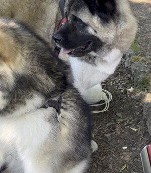 img_9407.jpeg