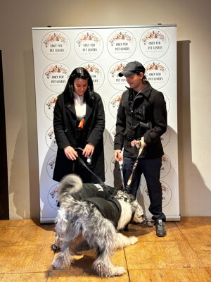 51b27576-6919-4fff-86c1-95eedd0b4241.jpeg 51b27576-6919-4fff-86c1-95eedd0b4241.jpeg