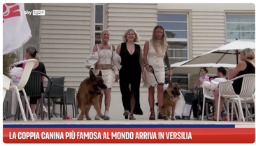 b50c3662-db67-4139-aea2-5bb96fe020ef b50c3662-db67-4139-aea2-5bb96fe020ef