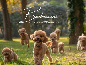 92b6e2ab-e487-44fd-b7d4-f86837b32390