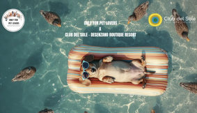 screenshot 2026-01-18 alle 22.06.59