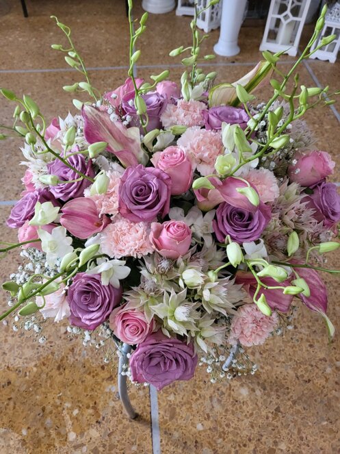 c9de4e0b-0173-42df-a59c-ca8ffd178538