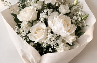 logo orizzontale no sfondo 