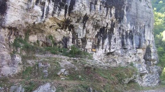 fed0e237-df51-485a-86e4-9cff6c064364