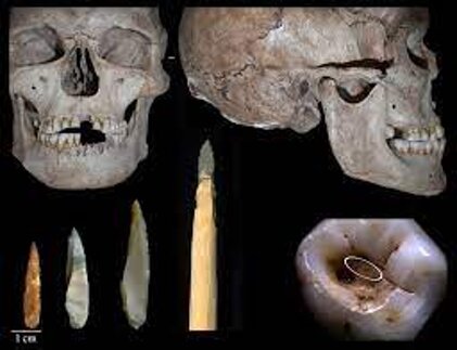 7e51df24-78c8-4e92-ab98-0bf4d27caae8