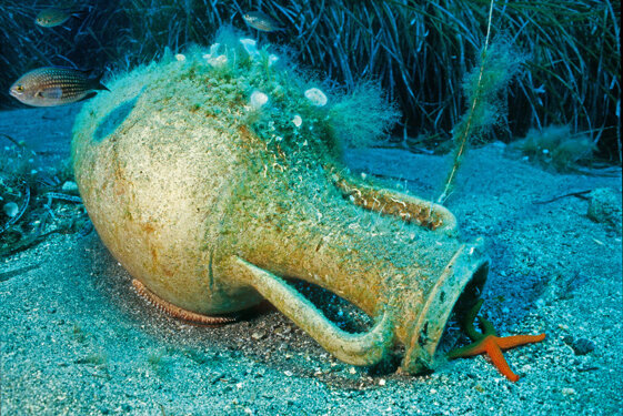 b34fd020-e7bd-40a2-88a3-797a2b7ad853