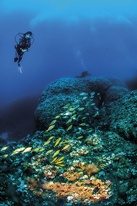 e458ddc5-f7a4-47f3-af7b-99fafa1e60f2