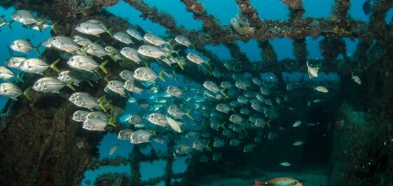 bd21ffde-6b81-4420-8fc2-2969ad32dd9a