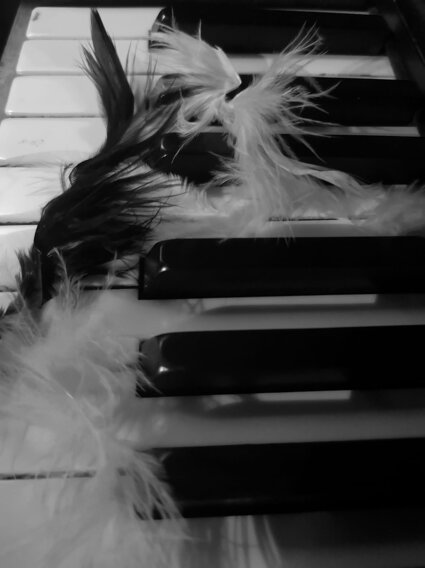 3a2845d6-7b8c-462c-8a54-41b8ce0d96bf